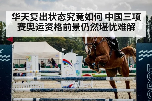 horse show jumping